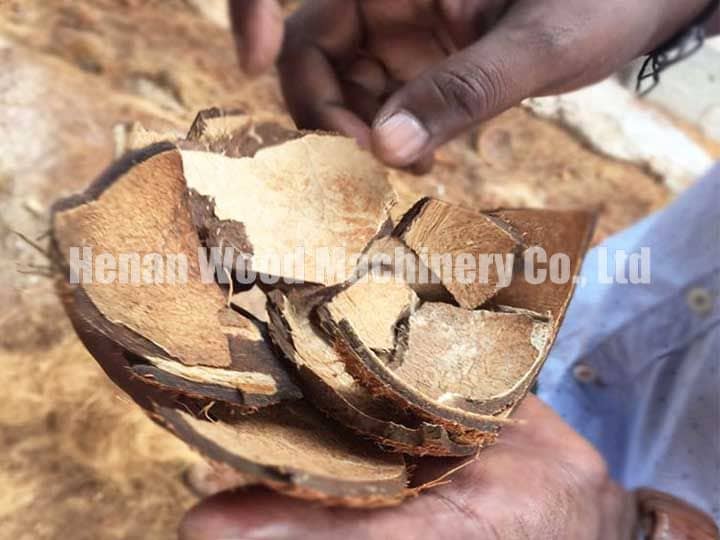 Coconut shells